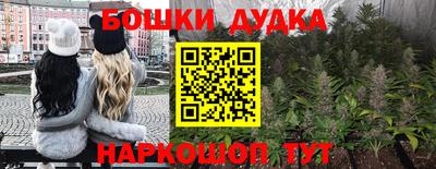 крисы Конаково